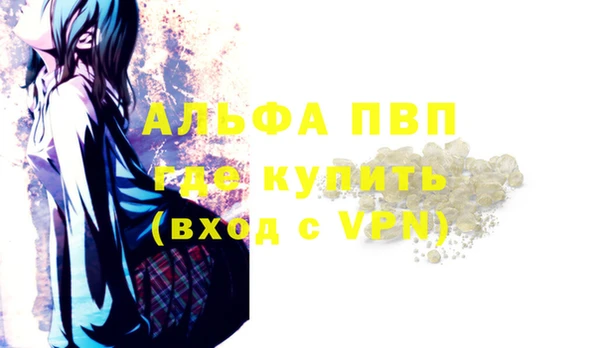 стафф Алексин