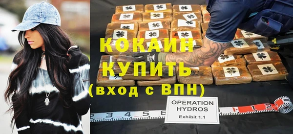 стафф Алексин