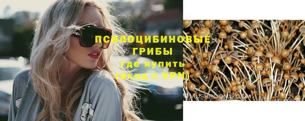стафф Алексин