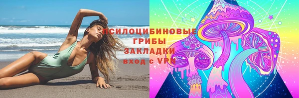 прущие крисы Арсеньев
