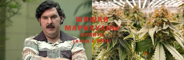 спиды Алзамай